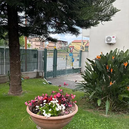 Il Dolce Risveglio